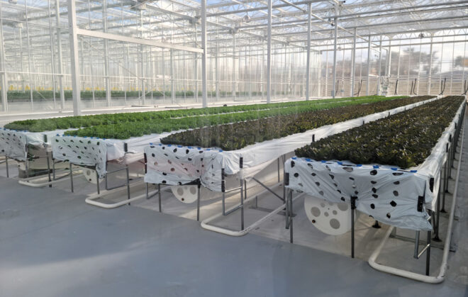 The smart farm | mag